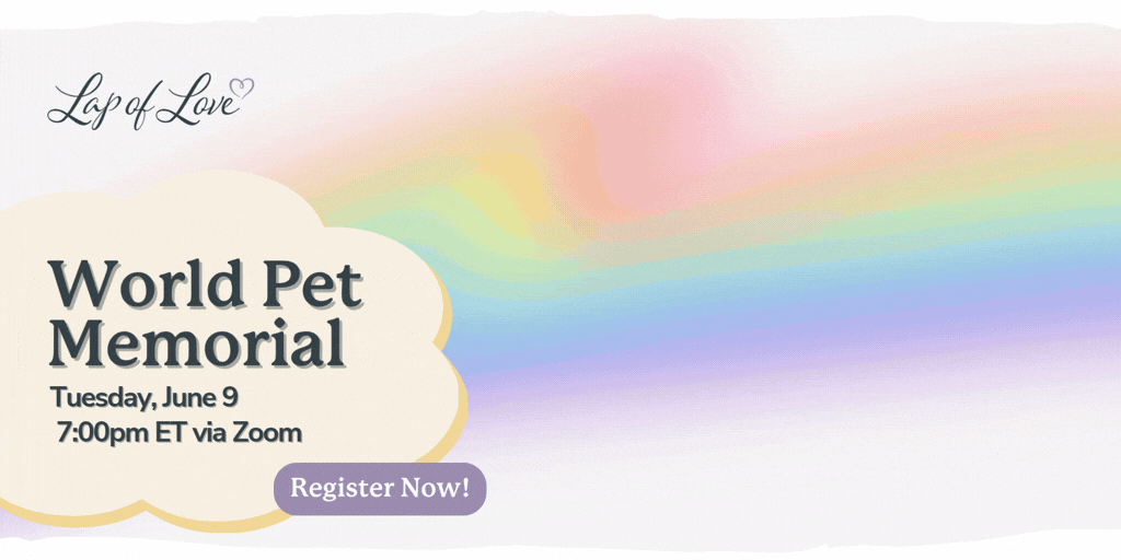 2026 Pet Memorial (Featured Image) (1024 × 512 px)