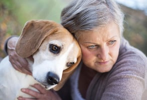 Coping While Caring For Pets With Chronic Illness Coping While Caring For Pets With Chronic Illness